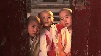 和尚电影在线观看,禅意人生，在线观影之旅